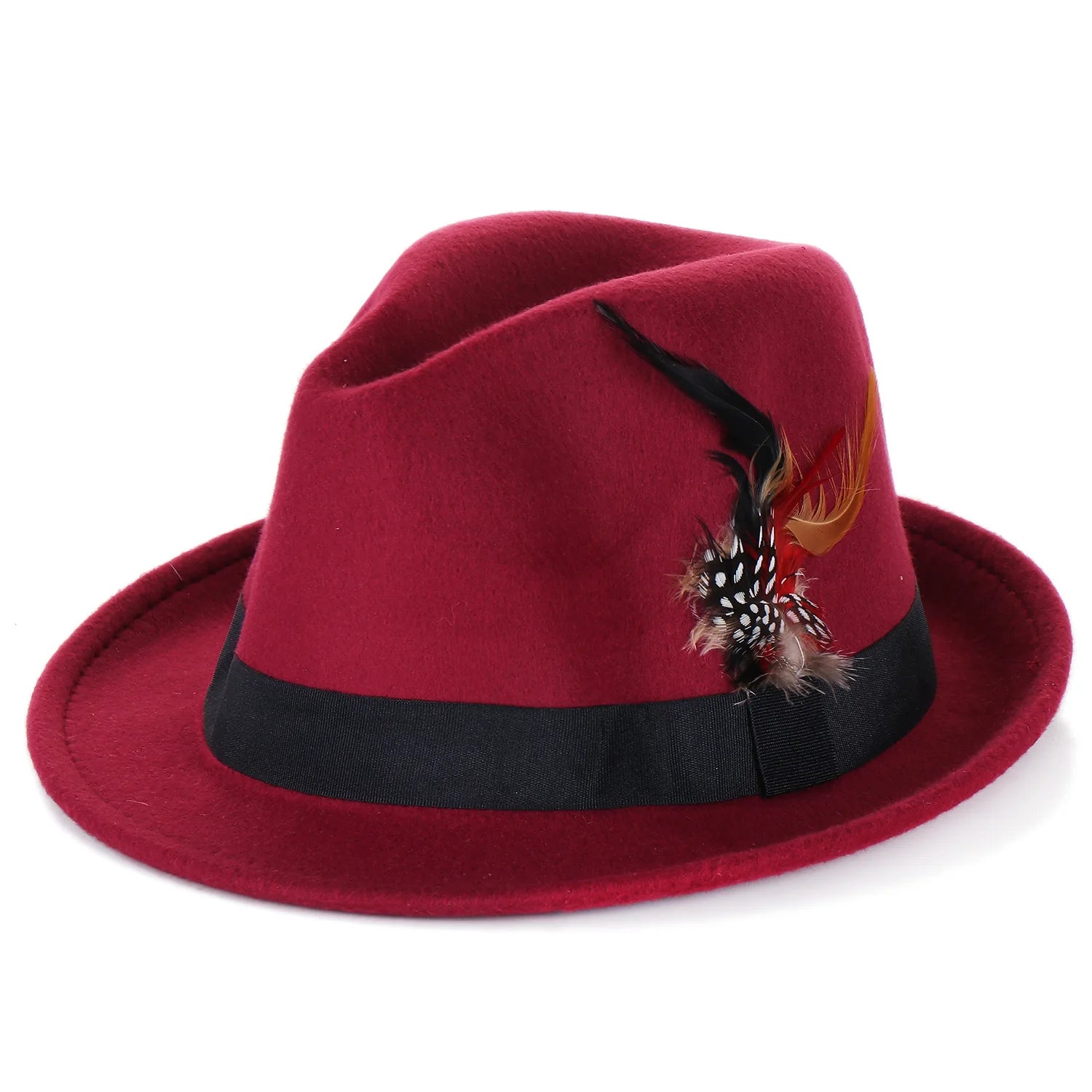 Selected Soft Felt Hat with Feather Trim