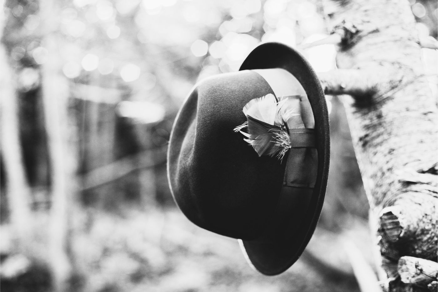 A trilby hat with a soft, matte finish resting on a bare branch, photographed in black and white.